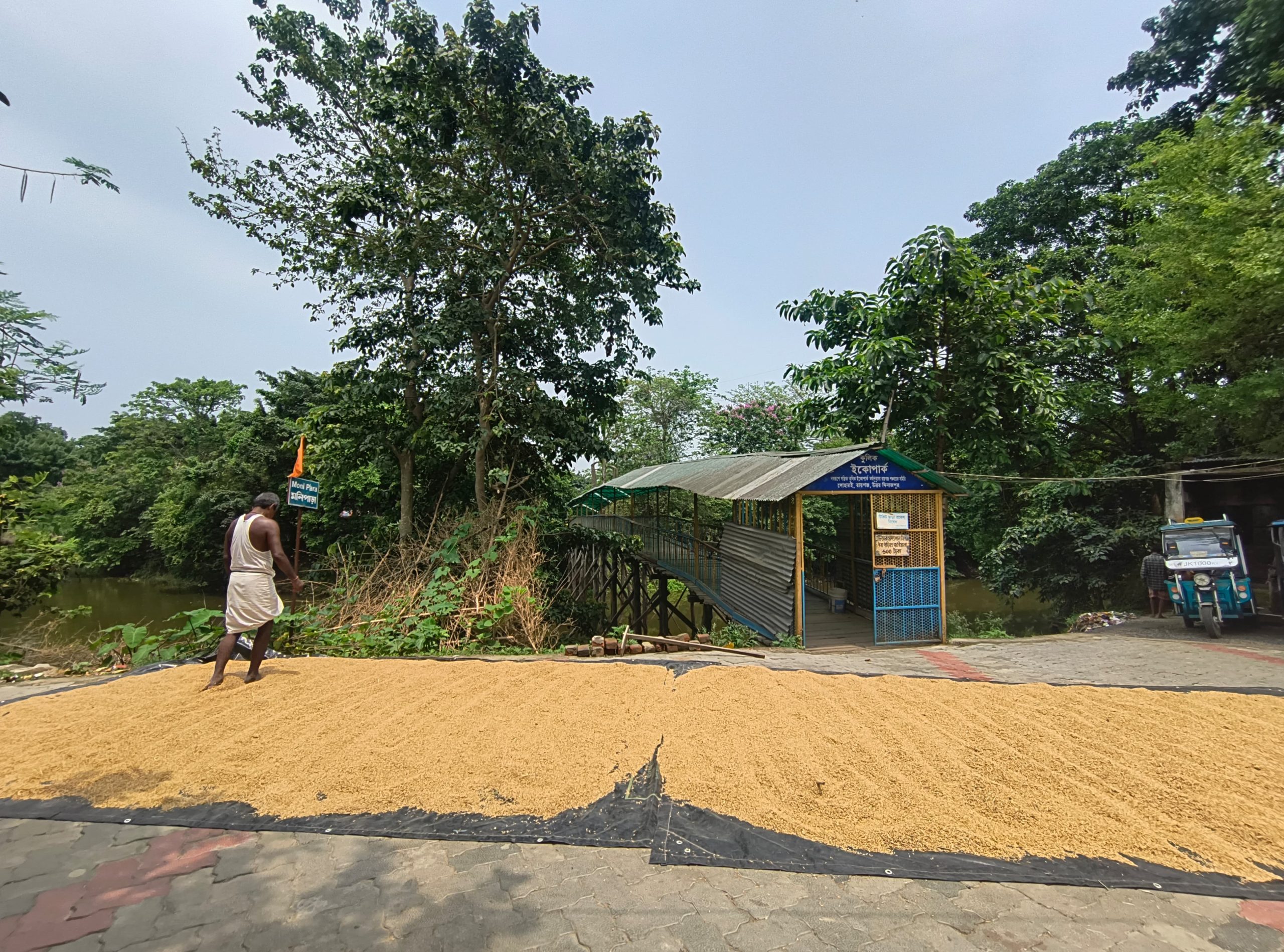 বেহাল পরিকাঠামোয় অমিল পর্যটক, ইকো পার্কের গেটে ধান শুকোচ্ছেন গ্রামবাসীরা