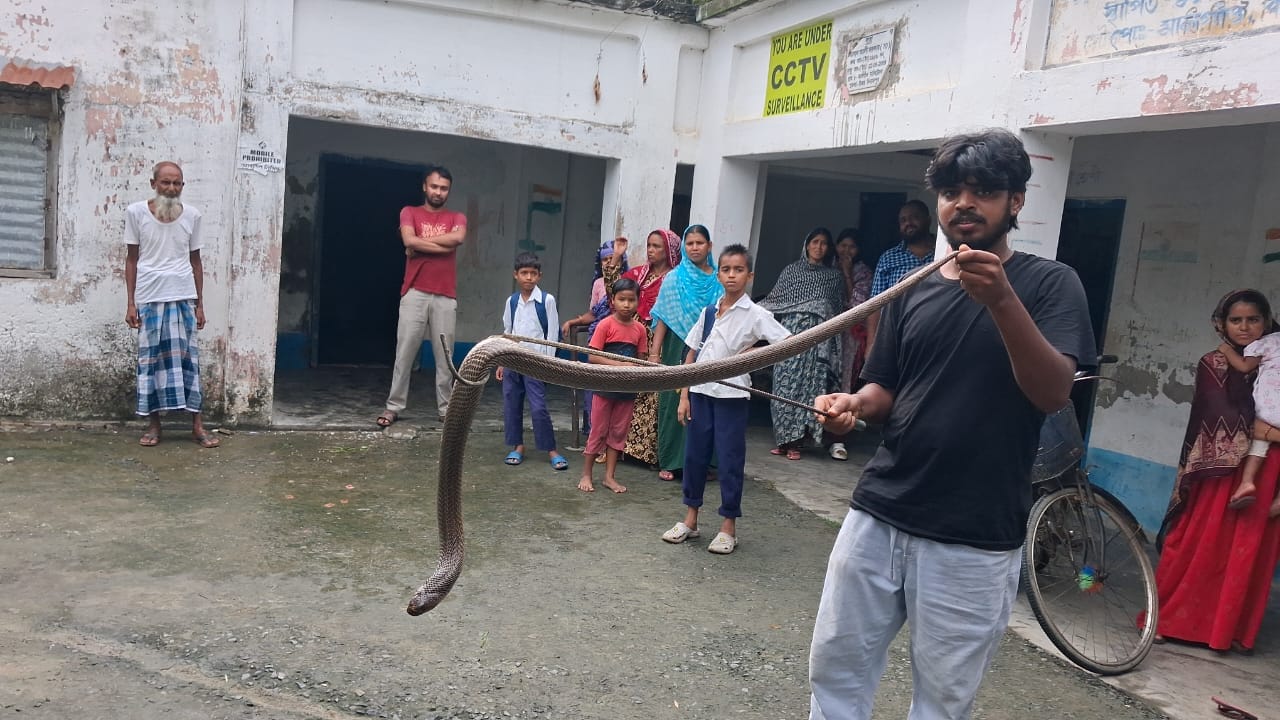মালগাঁও মালিটোলা প্রাথমিক বিদ্যালয়ের বাথরুম থেকে ৫ ফুটের গোখরো উদ্ধার, রক্ষা পেল ছাত্ররা